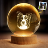 Custom Photo Crystal Globe Lamp - Personalized Pet Memorial Sympathy Gifts For Dogs, Cats - Light Carries Your Spirit