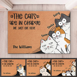 The Cat Is In Charge We Just Live Here - Cat Personalized Custom Decorative Mat - Gift For Pet Owners, Pet Lovers