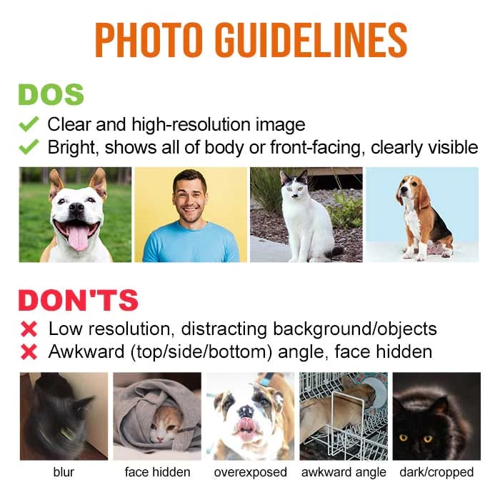 You Would Have Lived Forever - Personalized Horizontal Poster - Upload Image, Gift For Pet Lovers